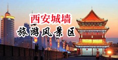 鸡巴捅黑丝美女逼中国陕西-西安城墙旅游风景区